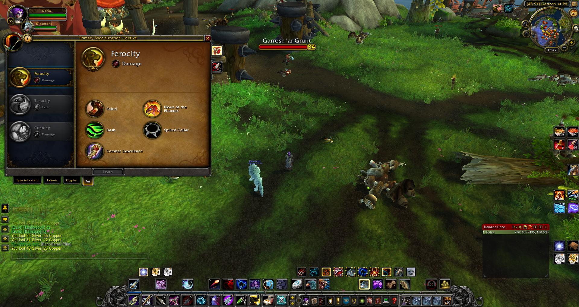 怀旧服兽王猎人1-60升级全攻略——宠物选择、天赋加点与输出循环心得