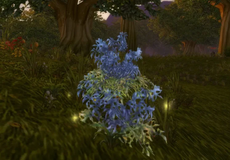 60级怀旧服采药+炼金双修攻略：自给自用的采药路线与赚金指南